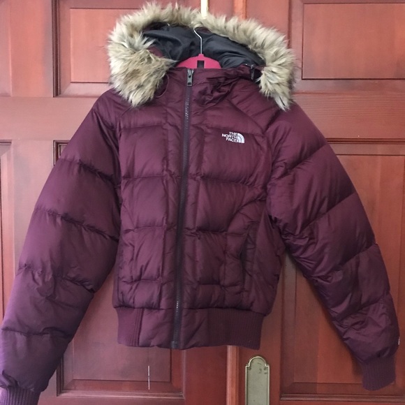The North Face Jackets & Blazers - WORN ONCE North Face crop jacket